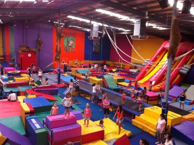 Jungle Gym Buggybuddys Guide For Families In Perth