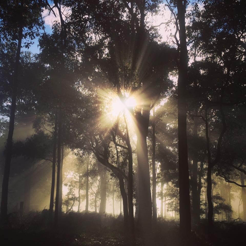 Balingup Heights Hilltop Forest Cottages