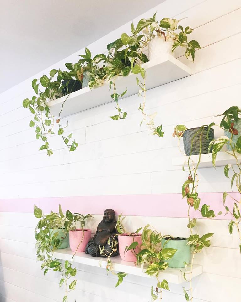 LaBuda Juice Bar, North Beach
